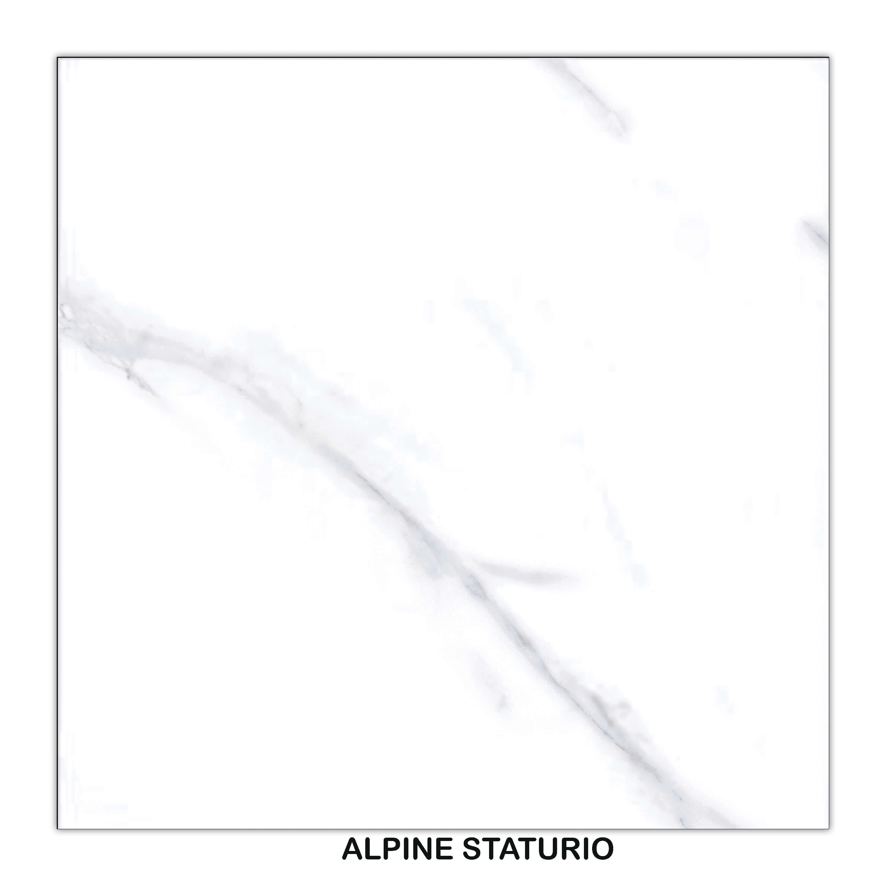 ALPINE STATURIO