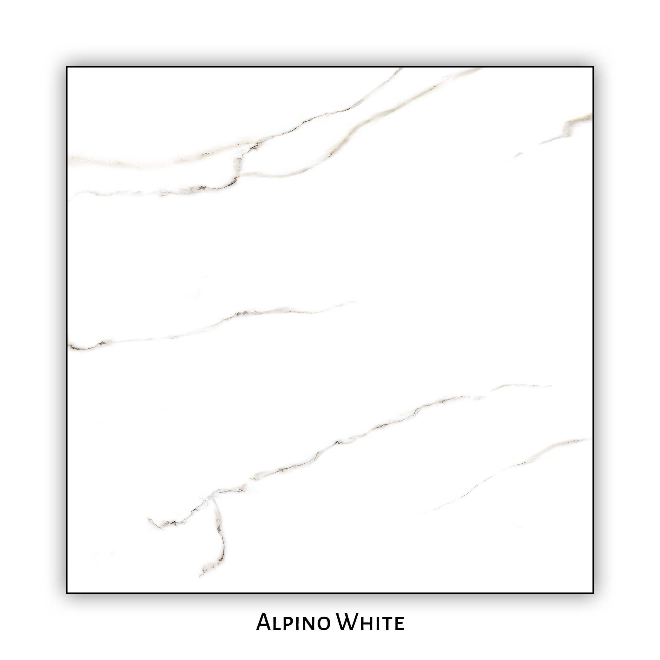 Alpino White